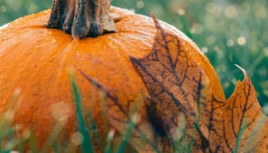 6 Steps to a Green Halloween by GOFAR